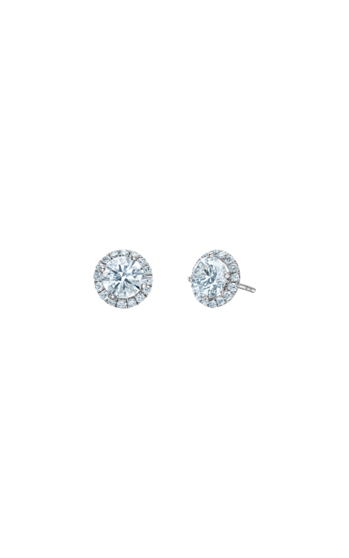 Diamond Evolution  Earring E4555W/128